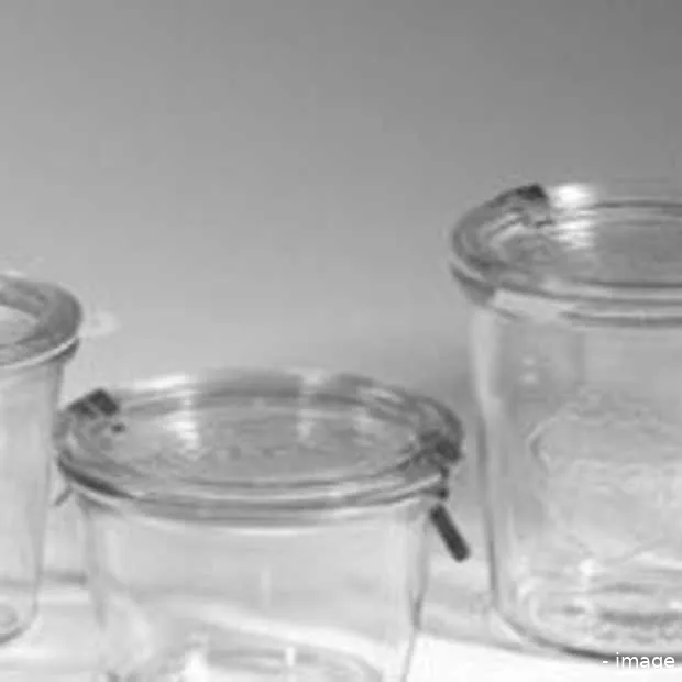 swearjarr de vloekpot van twitter