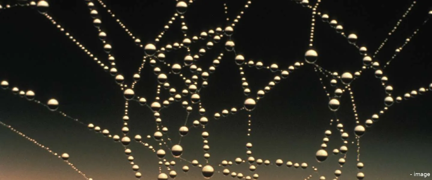 t mobile mobiel netwerk beste