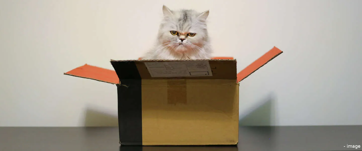 techbedrijven ontslagen