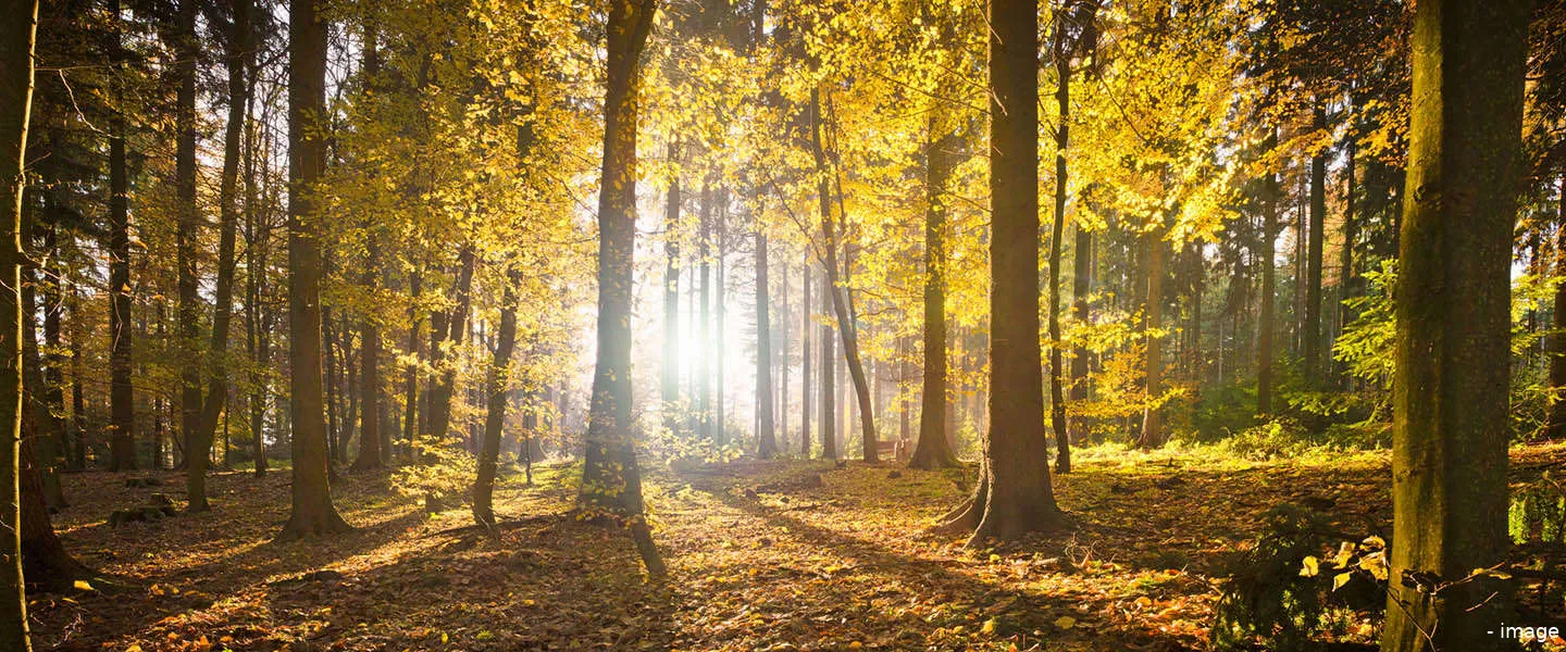 terug naar de natuur 1