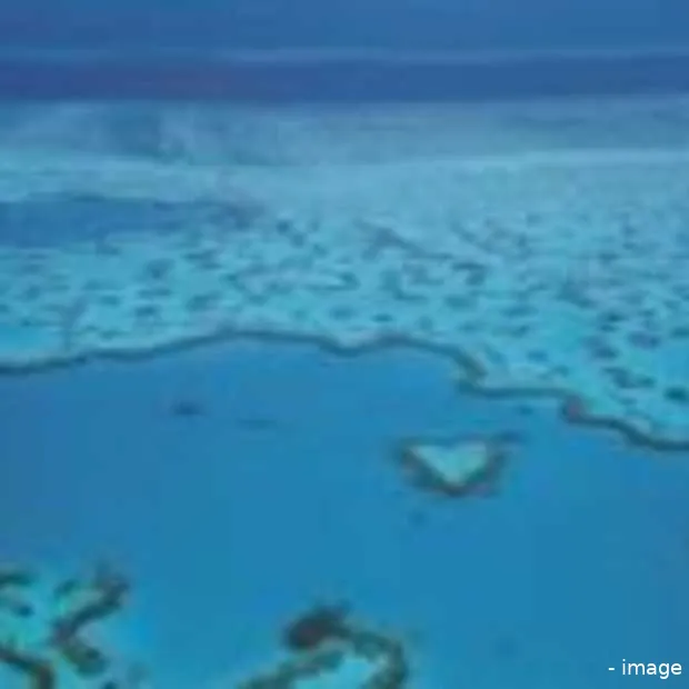 the best job in the world