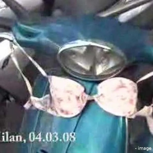 the bra invasion californication