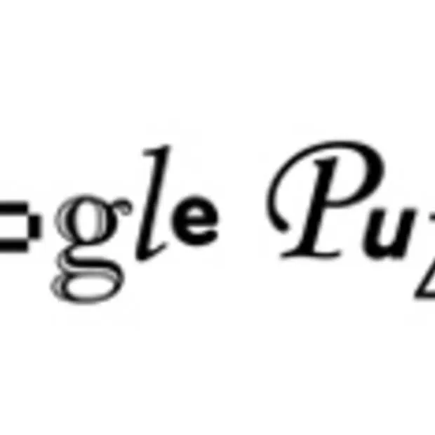 the google puzzle
