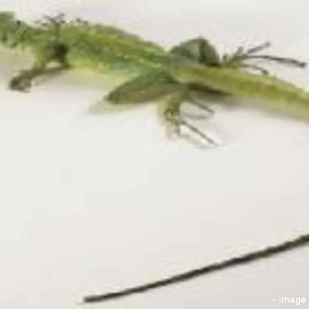 the long tail in europa muziekland