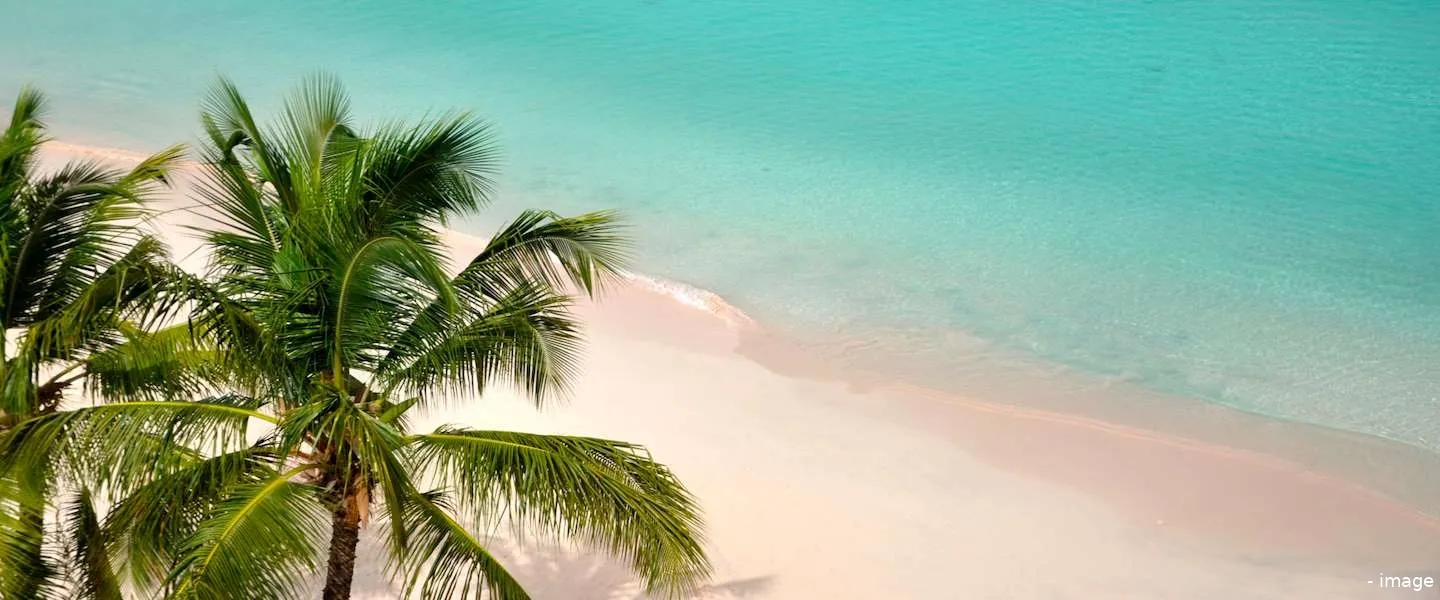 the new travelvalley 1