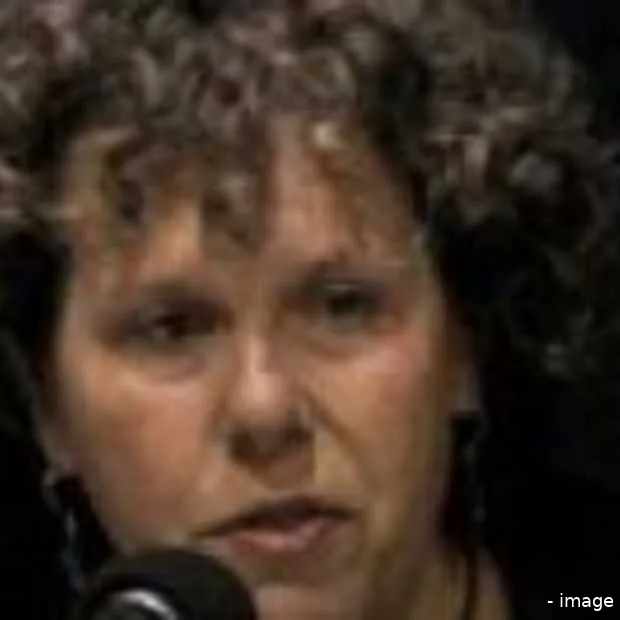 the next web lisa gansky en the mesh