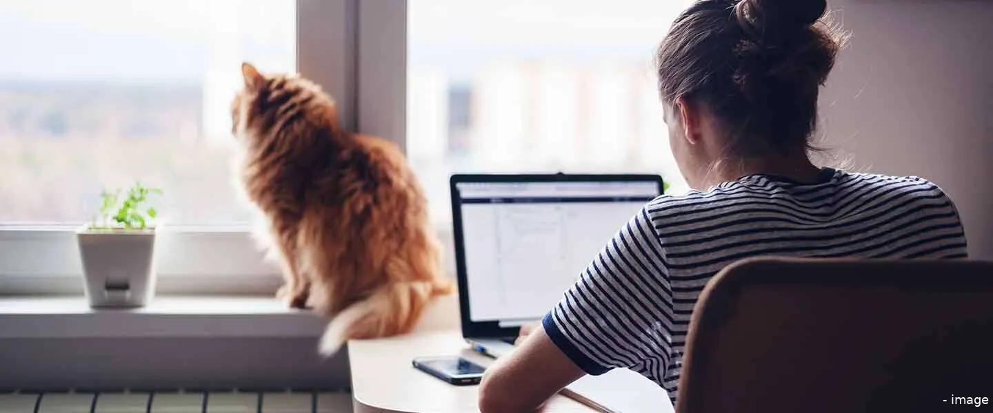 thuiswerken ergonomisch