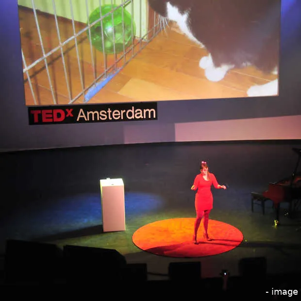 tinkebell op tedx niets is wat het lijkt