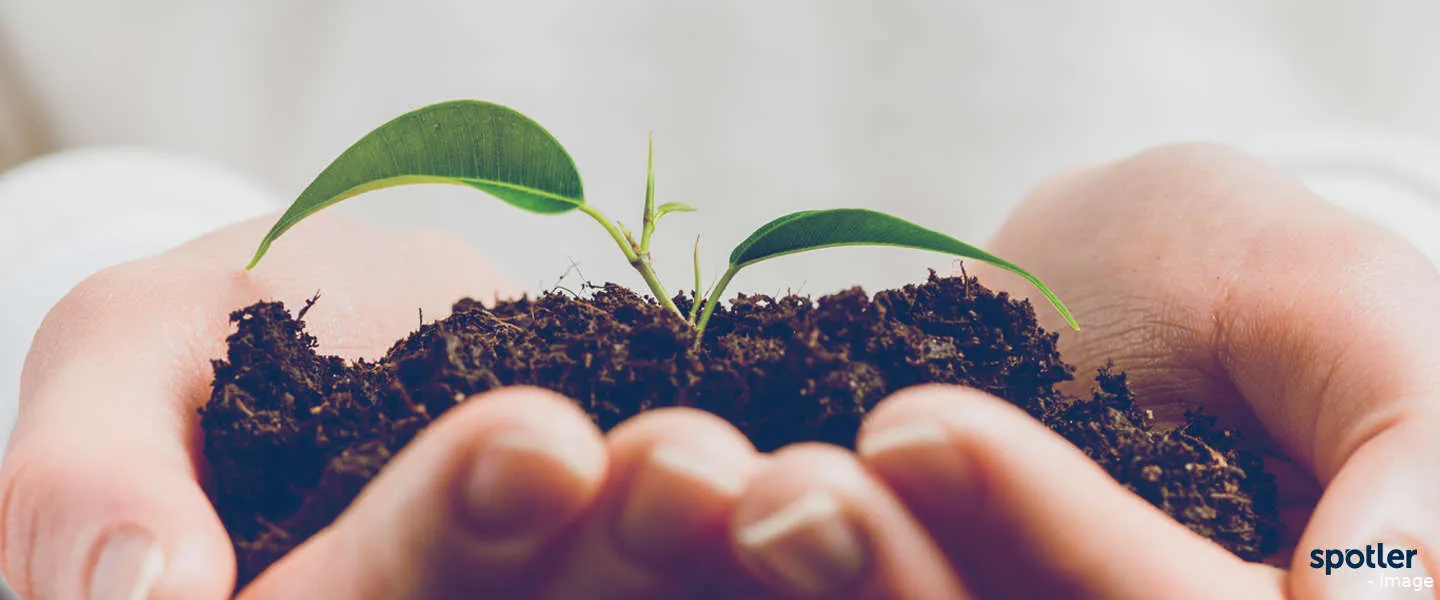 tips emailadressen spotler