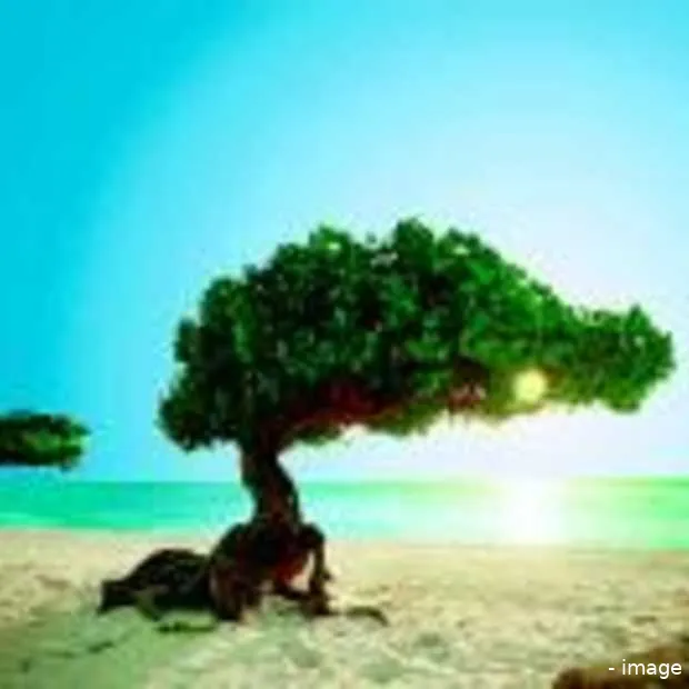 toeristen gedupeerd door onveilige compu