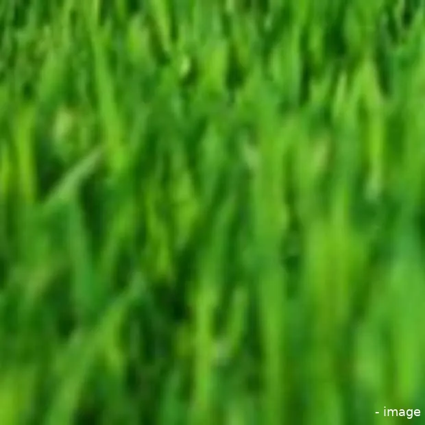 top 50 best global green brands