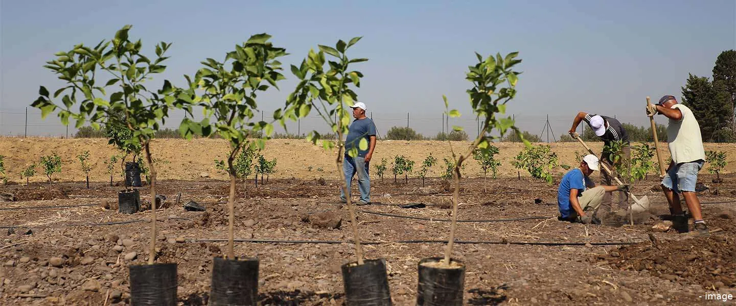 treedom voor bedrijven