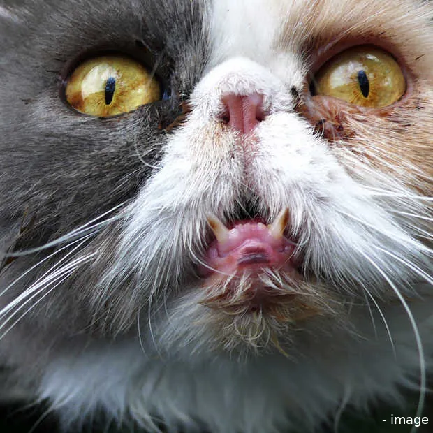 trend alert een beetje vreemd maar wel l