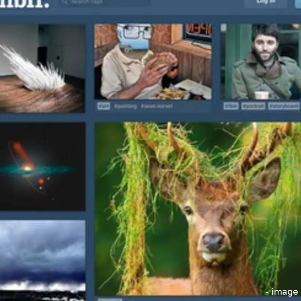 tumblr wordt meer gebruikt door tieners