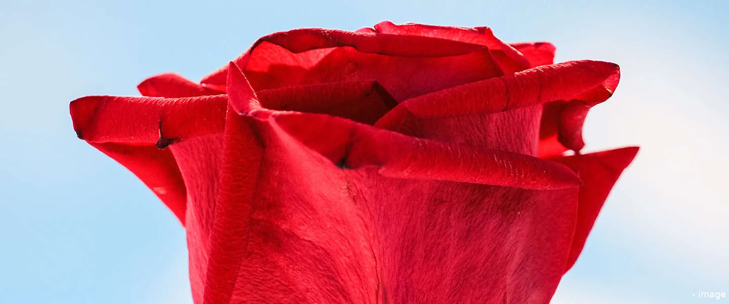 twitter een onderwerp