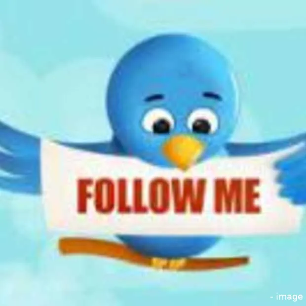 twitter heeft wereldwijd maar 56 miljoen