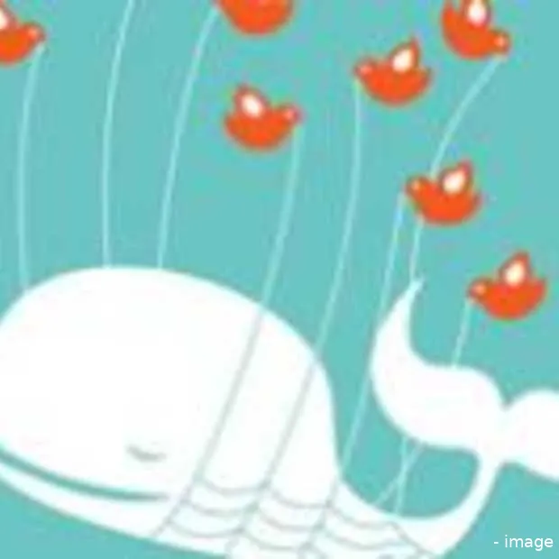 twitter is back social media blijft kwet