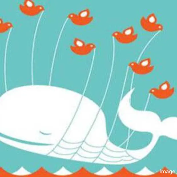 twitter kreunt en kraakt