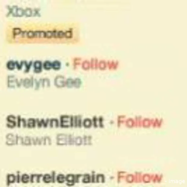 twitter promoted accounts