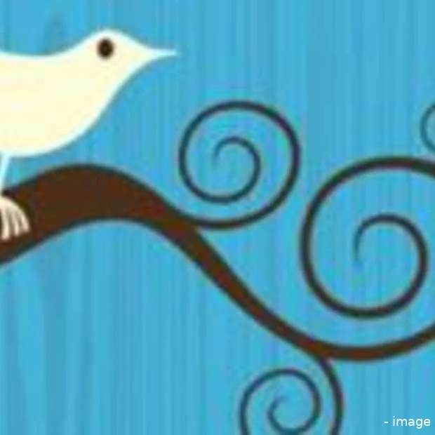 twitter wil video biz don t do it