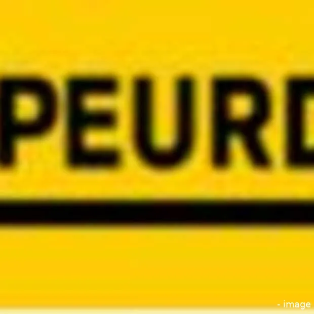 twitterende speurders