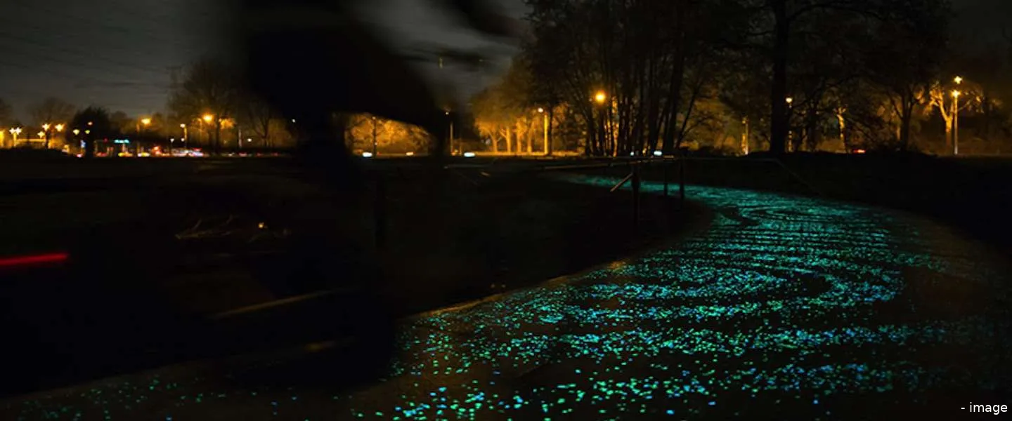 van gogh roosegaarde 02