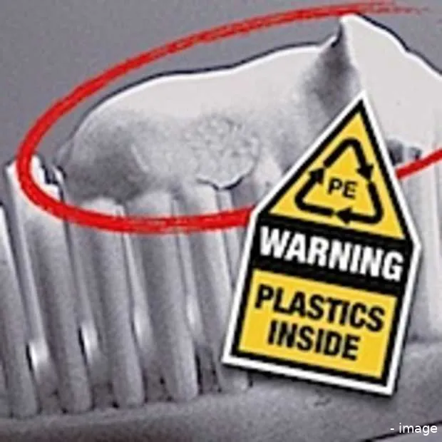 van zolderkamer tot kamervragen en tedta