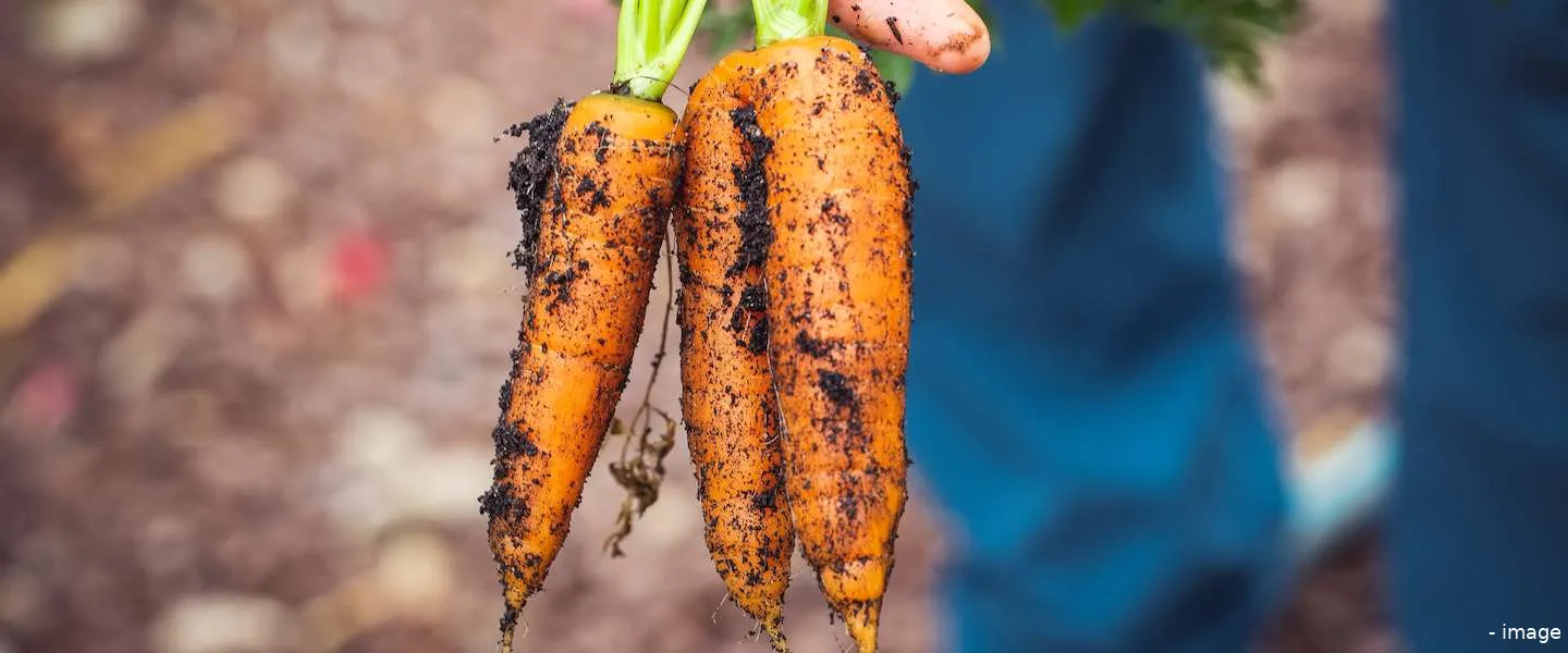 vegetarische slager 2 2