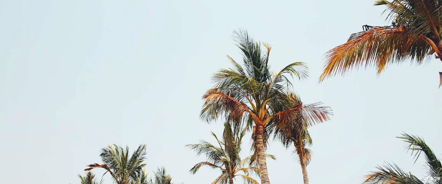 versoepelingen zomer 2021