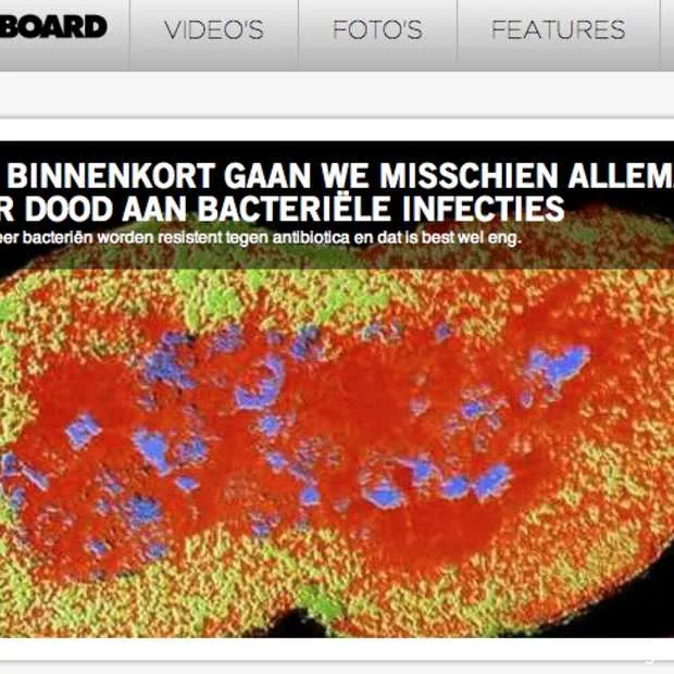 vice lanceert nederlandse versie van mot