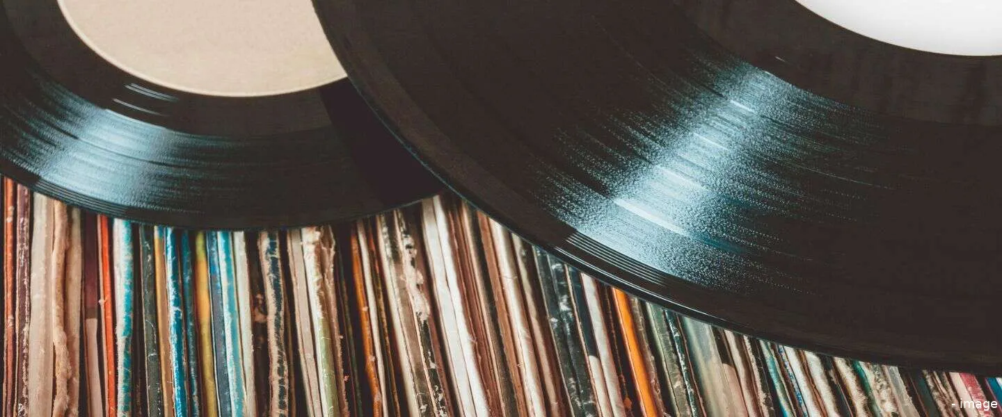 vinyl