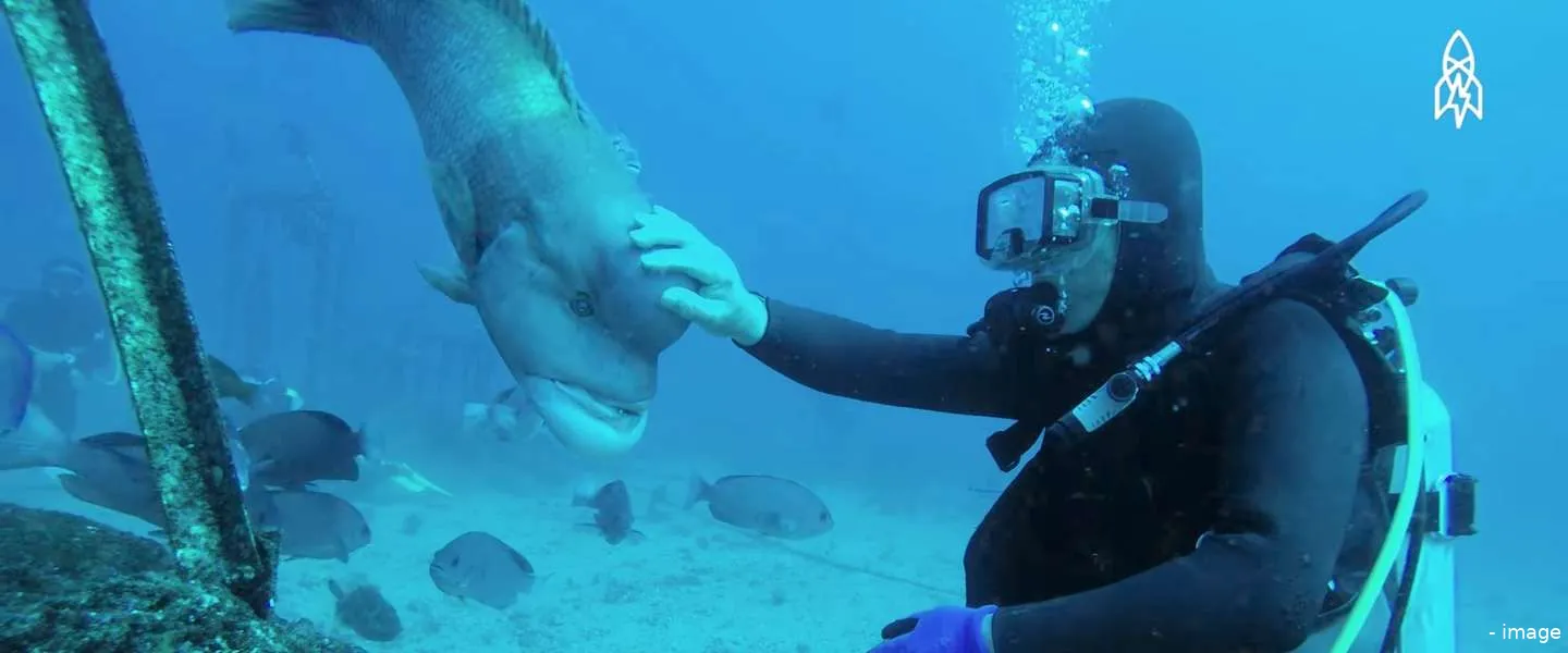 vissen vrienden japan