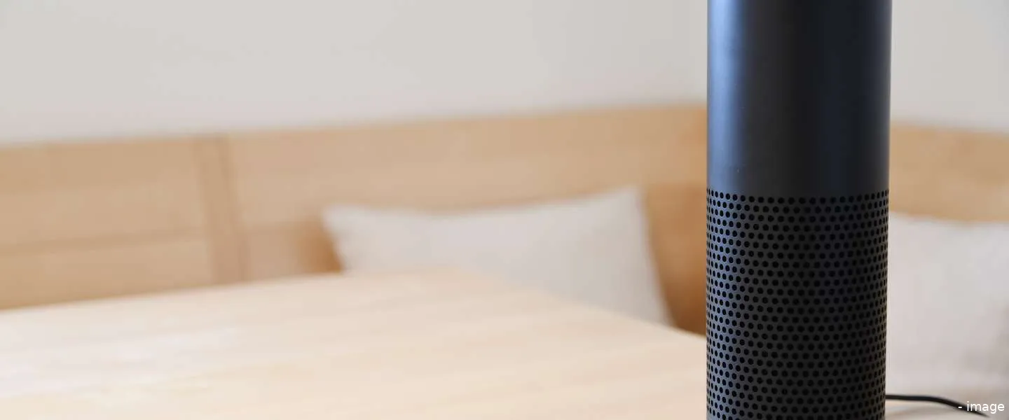 voice commerce groei