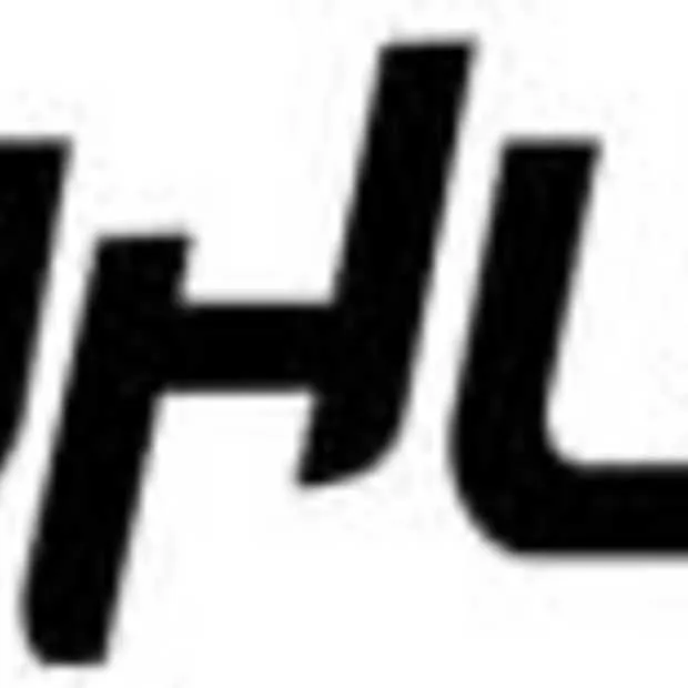 volgens isohunt is google de grootste to