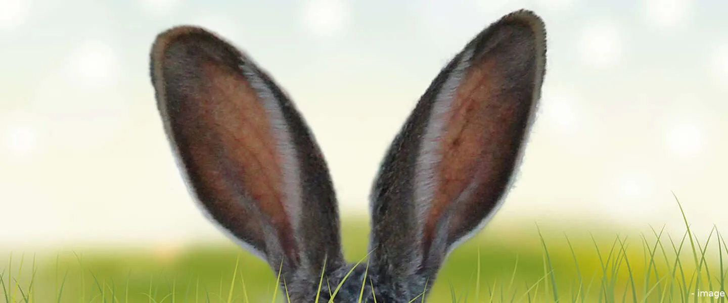 volume online content