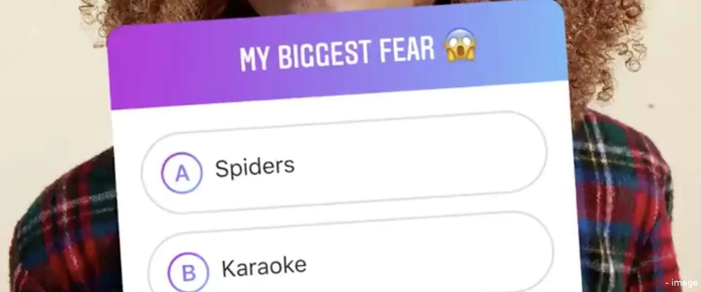 voorbeeld instagram stories quiz