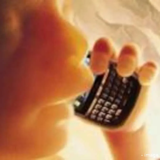 voorwaarden om digital natives aan boord