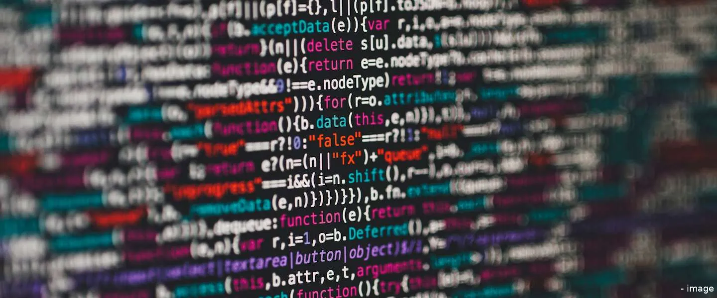 vpn netwerk lek nederlandse bedrijven