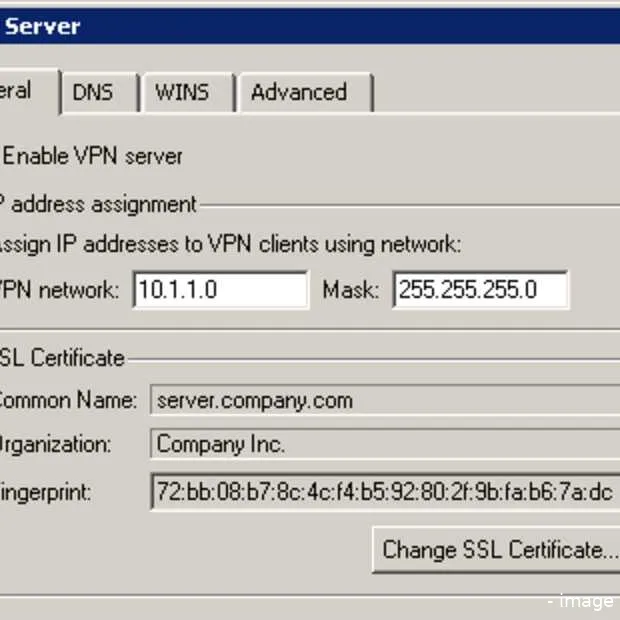 vpn s zijn in opkomst infographic