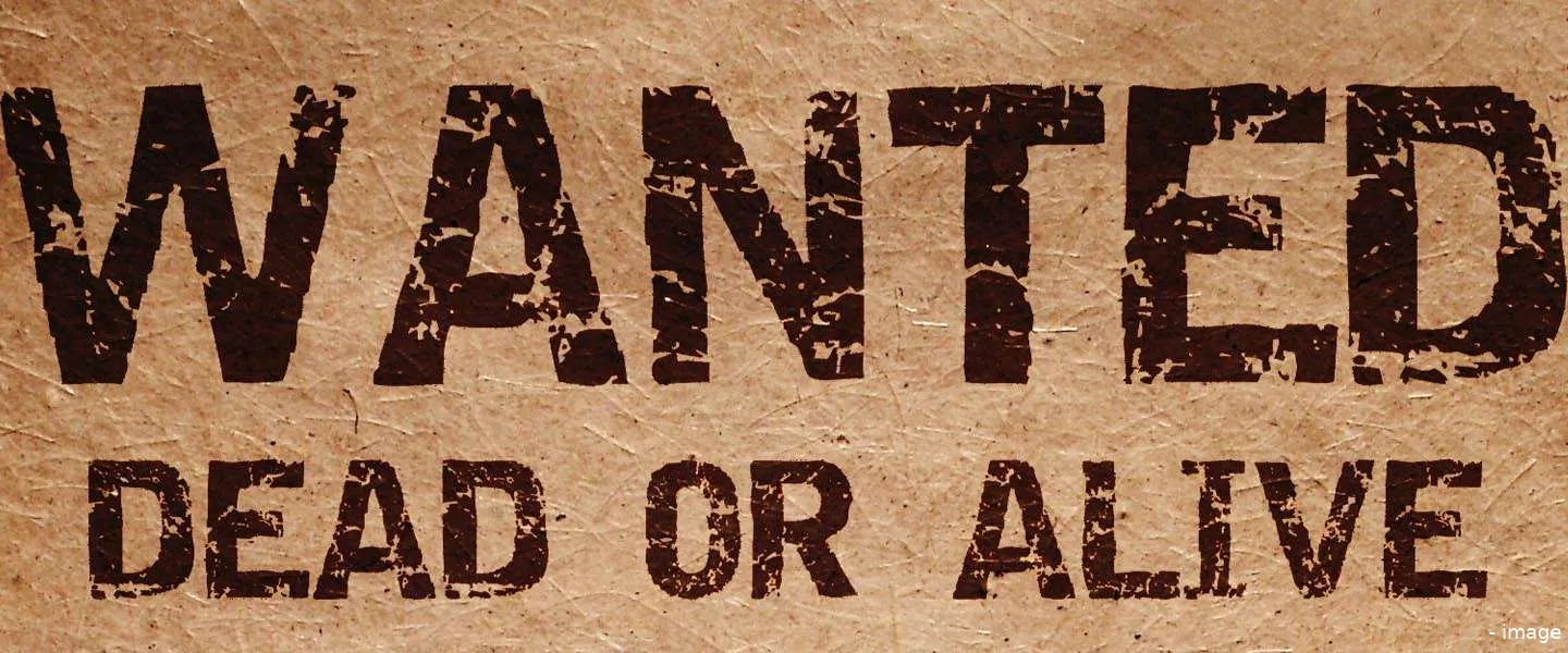 wanted dc vacatures 15