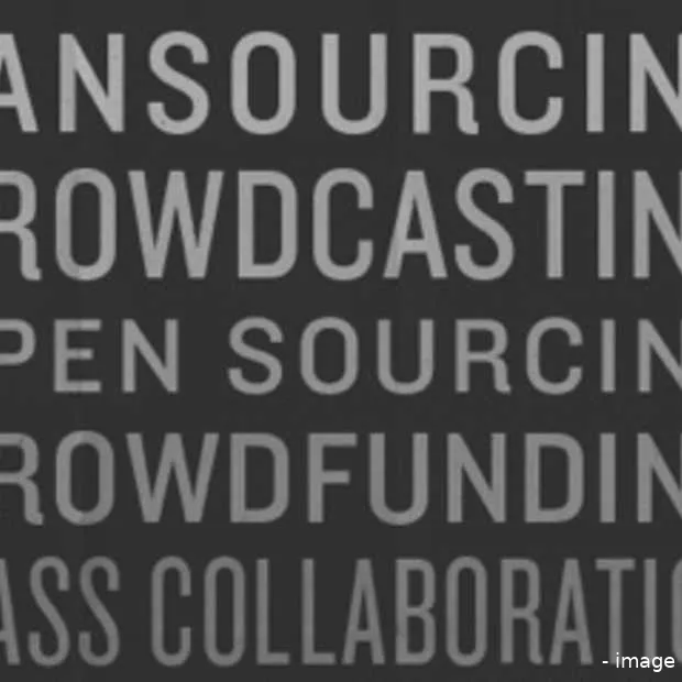 wat is crowdsourcing infographic