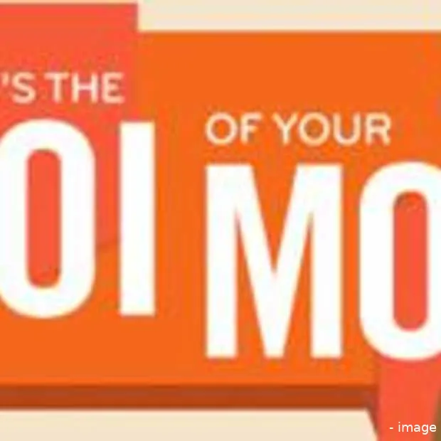 wat is de roi van je moeder infographic