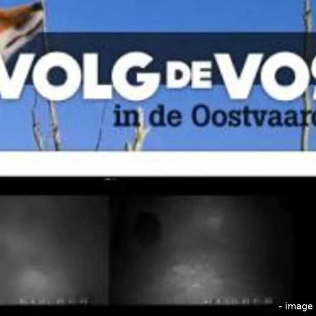 web 1 0 neemt web 2 0 over