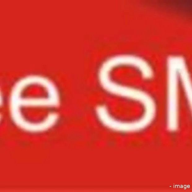 wereldrecord nieuwjaars sms jes