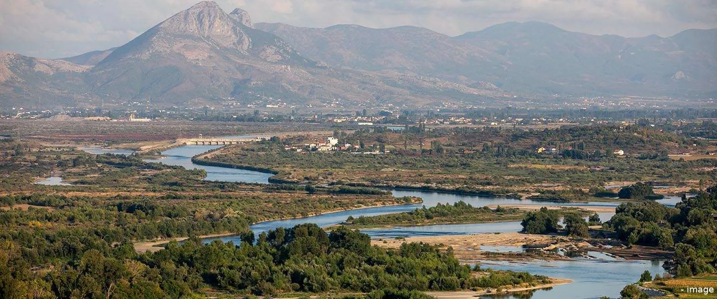 widm parel van de balkan