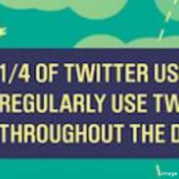 wie gebruikt twitter en waarvoor infogra