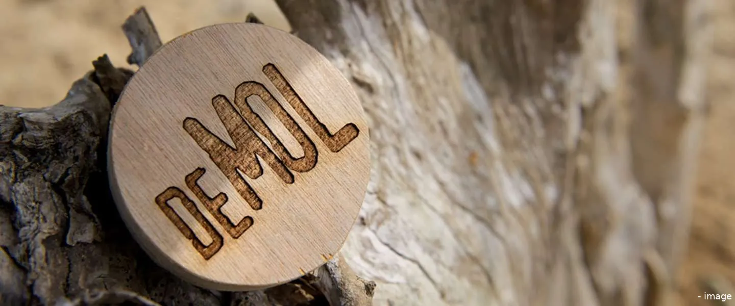 wie is de mol kandidaten