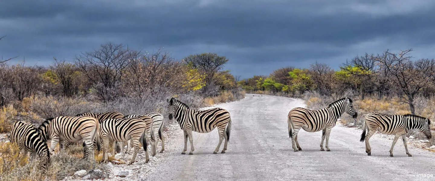 wie is de mol seizoen 23