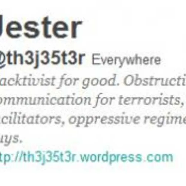 wikileaks krijgt ddos cyber attack te ve