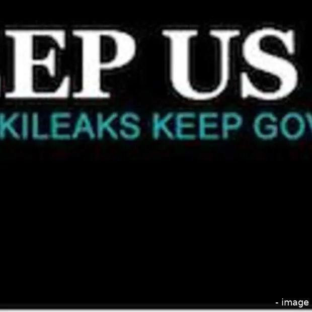 wikileaks op nederlands domein powned bi